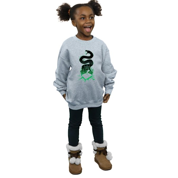 Harry Potter Tjejer Nagini Silhouette Sweatshirt 12-13 År Spo Sports Grey 12-13 Years