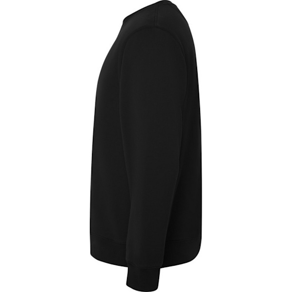 Roly Unisex Vuxen Batian Crew Neck Sweatshirt XXL Solid Black Solid Black XXL