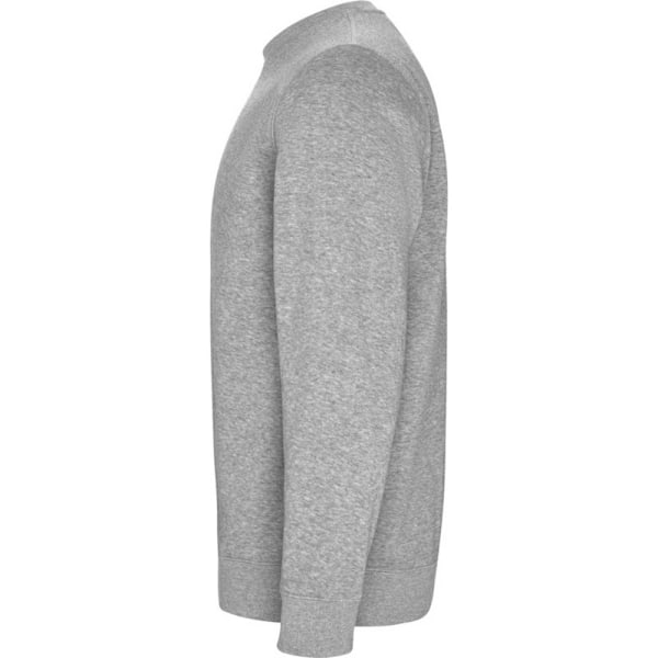 Roly Unisex Vuxen Batian Crew Neck Sweatshirt M Gråmelerad Grey Marl M