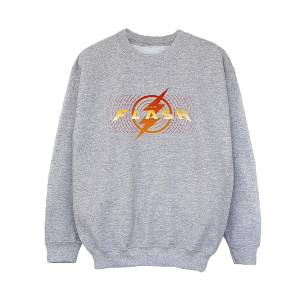 DC Comics Boys The Flash Red Lightning Sweatshirt 9-11 år Sp Sports Grey 9-11 Years