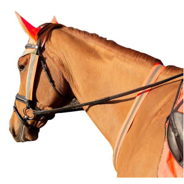 HyVIZ Häst Martingale One Size Orange Orange One Size