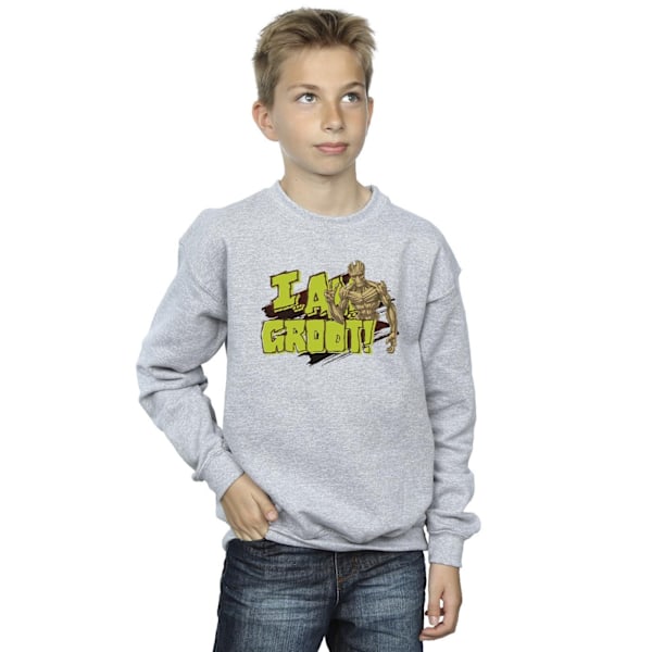 Guardians Of The Galaxy Boys I Am Groot Sweatshirt 5-6 År Sp Sports Grey 5-6 Years