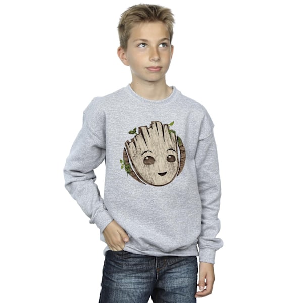 Marvel Boys I Am Groot Trähuvud Sweatshirt 9-11 År Sport Sports Grey 9-11 Years