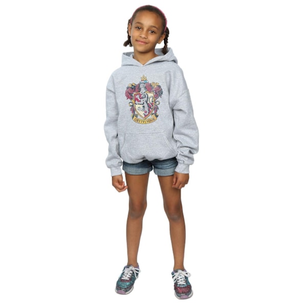 Harry Potter Flickor Gryffindor Distressed Crest Hoodie 3-4 År Sports Grey 3-4 Years
