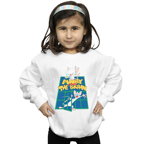 Animaniacs Girls Pinky And The Brain Laboratory Sweatshirt 12-1 White 12-13 Years