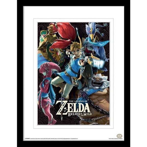 The Legend of Zelda: Breath Of The Wild Champions Print 40cm x Blue/White/Black 40cm x 30cm