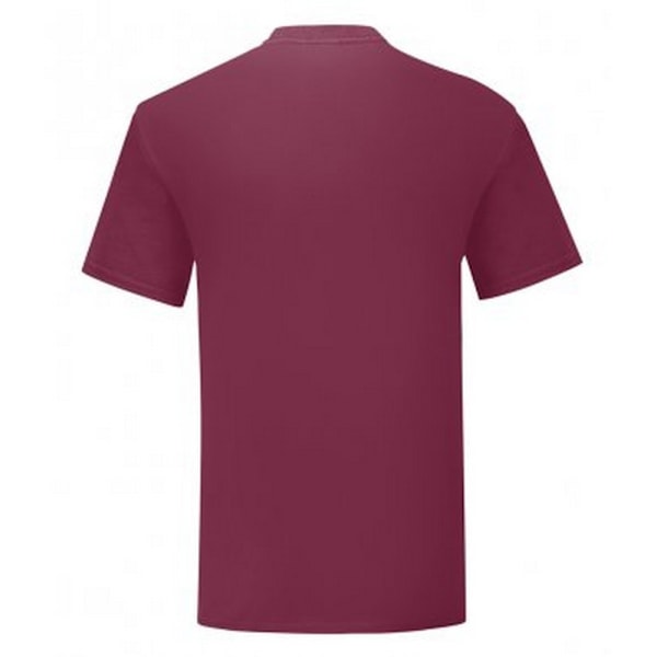 Fruit Of The Loom Iconic T-shirt för män (5-pack) M Burgundy Burgundy M