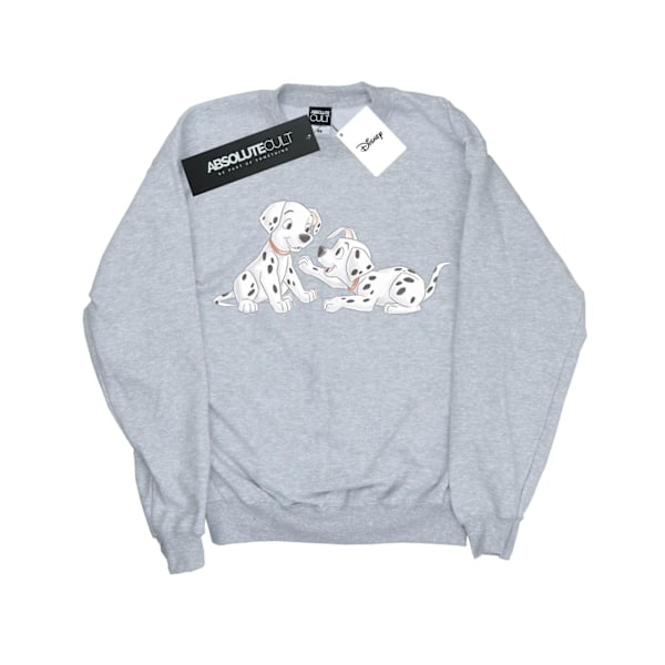 Disney Boys 101 Dalmatiner Vattenfärg Vänner Sweatshirt 9-11 Sports Grey 9-11 Years