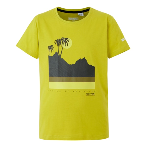 Regatta Barn/Barn Bosley VIII T-shirt med ö-tryck 5-6 år Grenoble Green 5-6 Years
