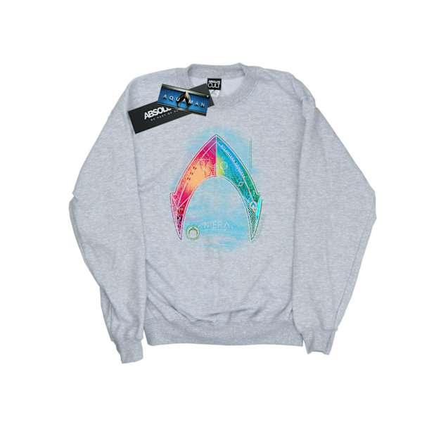 DC Comics Herr Aquaman Mera Logo Sweatshirt L Sports Grey Sports Grey L