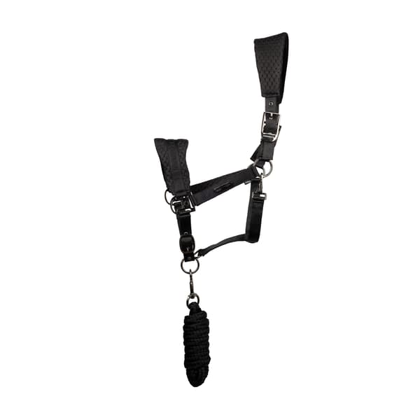 Coldstream Middleton Hästgrimma Cob Svart Black Cob