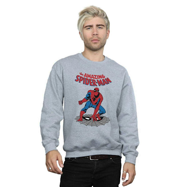 Marvel The Amazing Spider-Man Sweatshirt 5XL Sports Grey Sports Grey 5XL