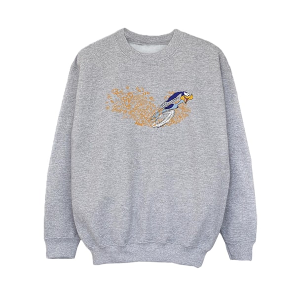 Looney Tunes Boys ACME Doodles Road Runner Sweatshirt 12-13 År Sports Grey 12-13 Years