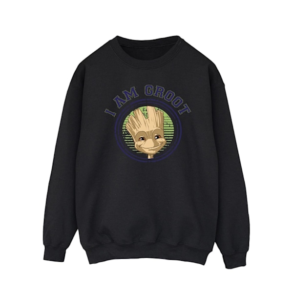 Guardians Of The Galaxy Herr Groot Varsity Sweatshirt XL Svart Black XL