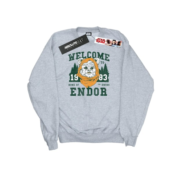 Star Wars Herr Endor Camp Sweatshirt S Sports Grey Sports Grey S