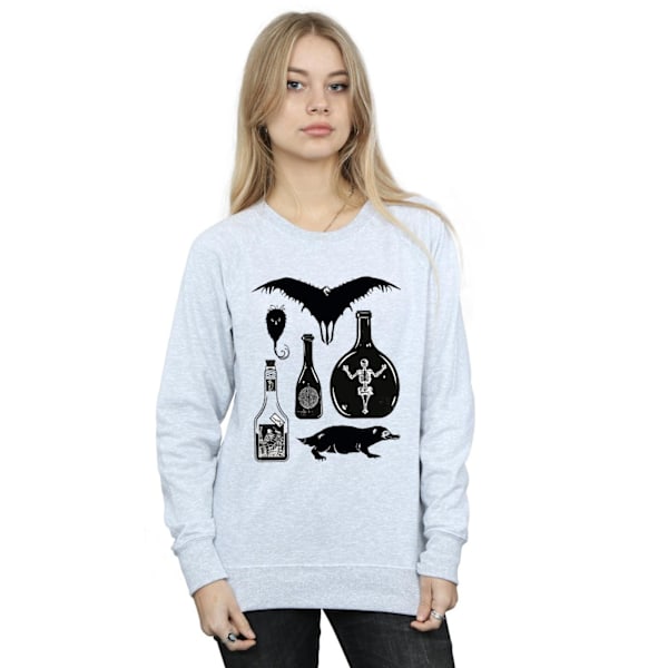 Fantastiska vidunder Kvinnors/Damers Enkla Ikoner Sweatshirt M Heather Heather Grey M