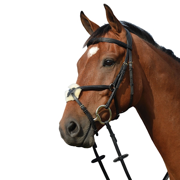 Collegiate Syntovia+ Vadderad Figursydd 8 Rem Svart Black Cob