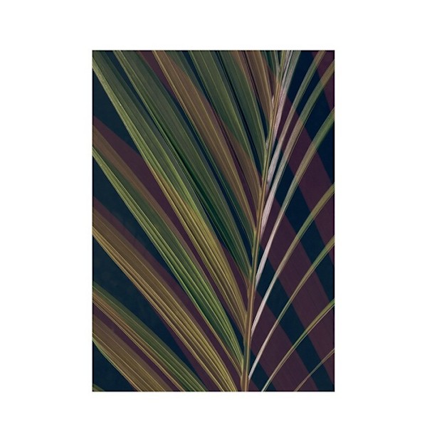 Ian Winstanley Dark Tropics II Tryck 40cm x 30cm Grön/Brun/Svart Green/Brown/Black 40cm x 30cm