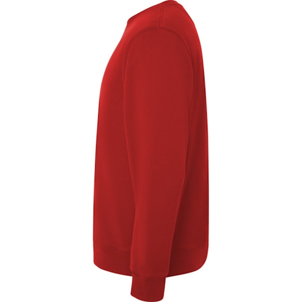 Roly Unisex Vuxen Batian Crew Neck Sweatshirt 3XL Röd Red 3XL