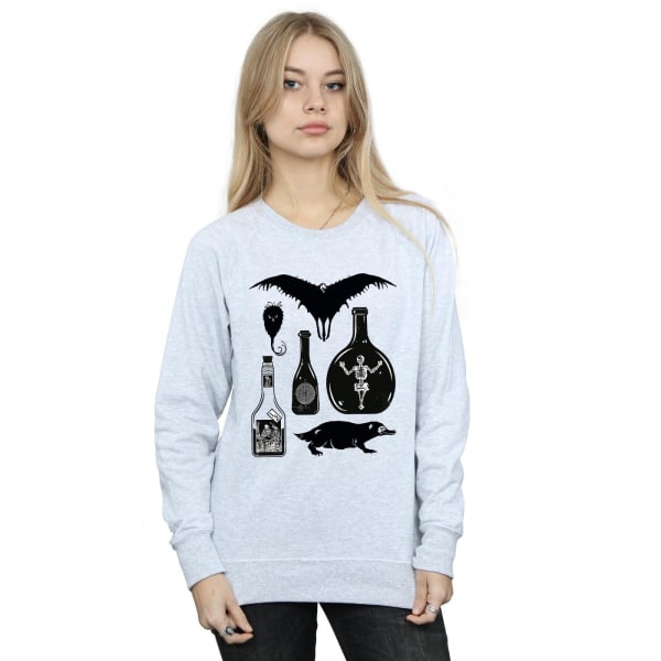 Fantastic Beasts Dam/Ladies Plain Icons Sweatshirt L Heather Heather Grey L