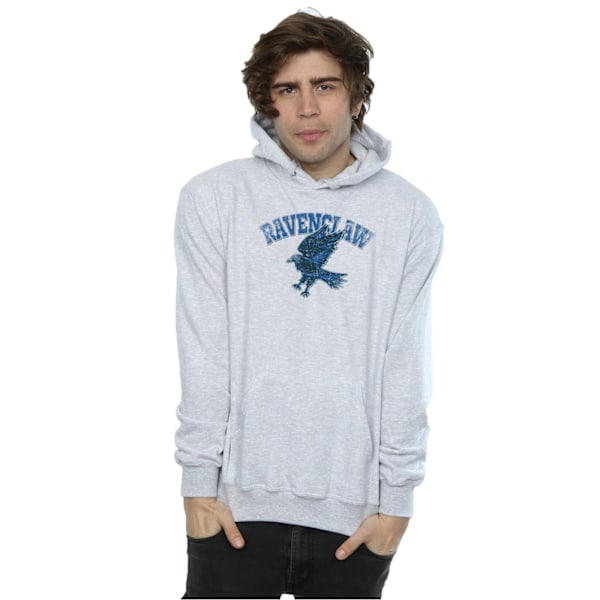 Harry Potter Herr Ravenclaw Sport Emblem Hoodie XXL Sports Grey Sports Grey XXL