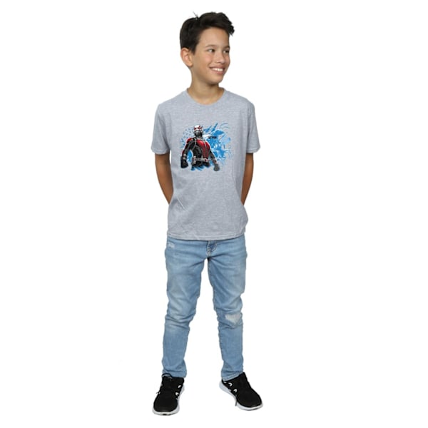 Marvel Boys Ant-Man Standing T-shirt 12-13 år Sports Grey Sports Grey 12-13 Years