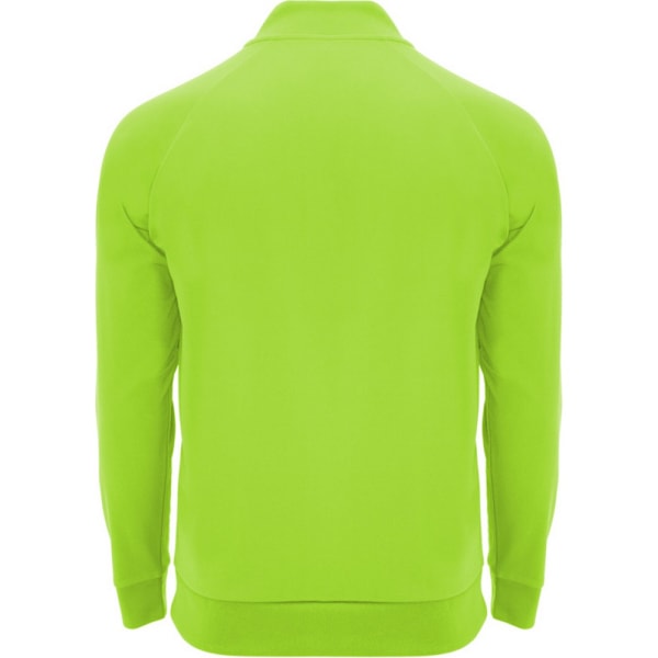 Roly Unisex Vuxen Epiro Kvarts Dragkedja Långärmad Sweatshirt M F Fluro Green M