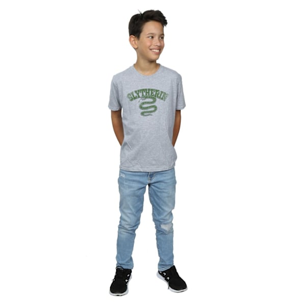 Harry Potter Boys Slytherin Sport Emblem T-Shirt 7-8 år Spor Sports Grey 7-8 Years