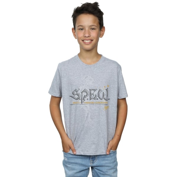 Harry Potter Boys Dobby Elfish Welfare T-Shirt 12-13 år Spor Sports Grey 12-13 Years