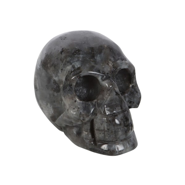 Something Different Dark Matter Labradorite Skull Crystal One S Black One Size