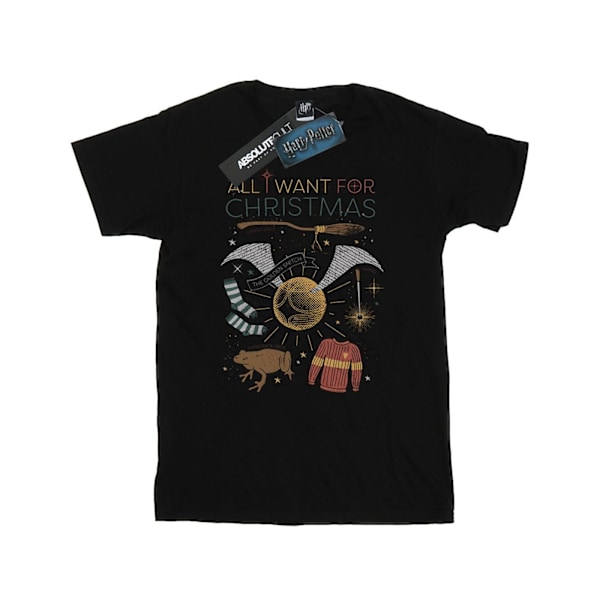 Harry Potter Herr All I Want For Christmas T-Shirt 4XL Svart Black 4XL