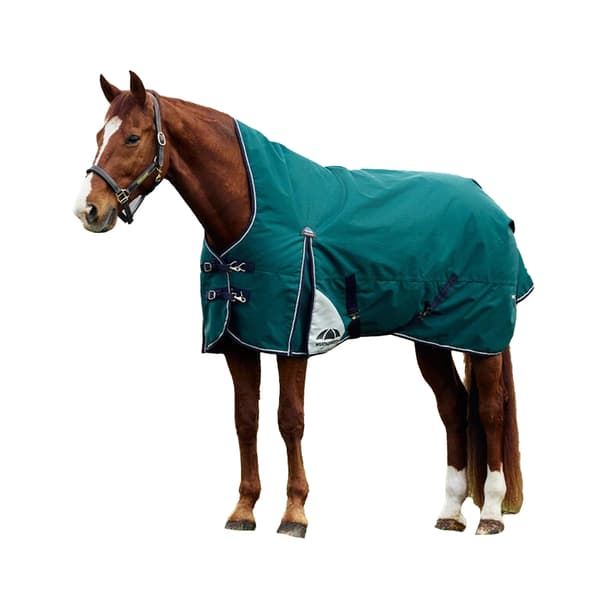 Weatherbeeta Comfitec Plus Dynamic Höghalsad 220g Hästtäcke Forest Green/Navy 6´ 5