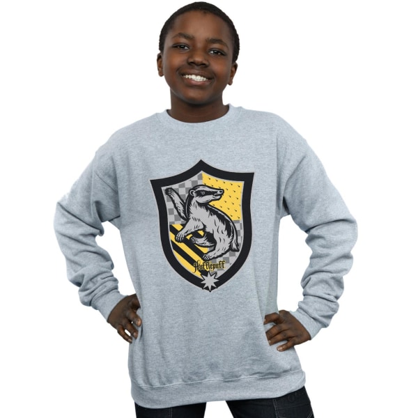 Harry Potter Boys Hufflepuff Crest Flat Sweatshirt 9-11 år S Sports Grey 9-11 Years