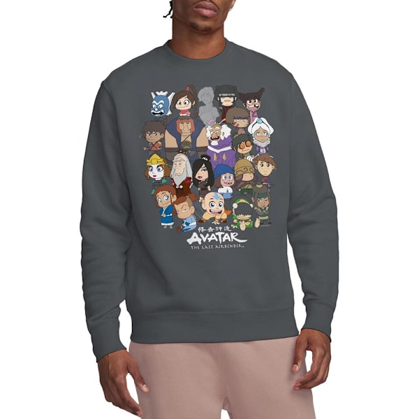 Avatar: The Last Airbender Unisex Vuxen Chibi Grupp Sweatshirt Charcoal XXL