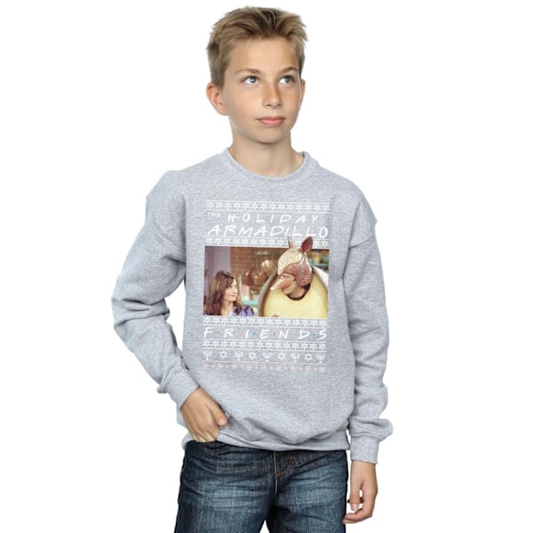 Friends Boys Fair Isle Holiday Armadillo Sweatshirt 5-6 år S Sports Grey 5-6 Years