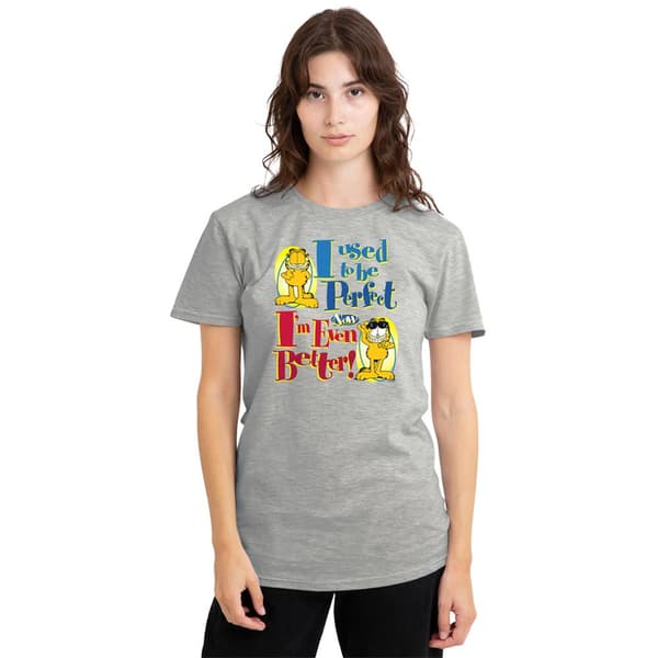 Garfield Dam/Dam Even Better Heather T-shirt S Athletic H Athletic Heather S
