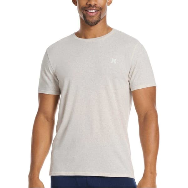 Hurley Herr Logotyp Regular T-shirt (2-pack) M Blå/Brun Blue/Tan M