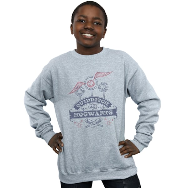 Harry Potter Pojkar Quidditch På Hogwarts Sweatshirt 7-8 År Sp Sports Grey 7-8 Years