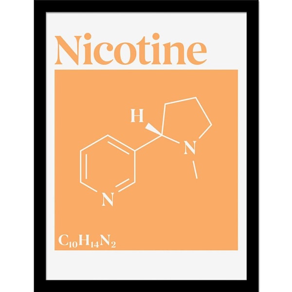 Drug Science Nikotin Inramad Poster 40cm x 30cm Vit/Orange White/Orange 40cm x 30cm