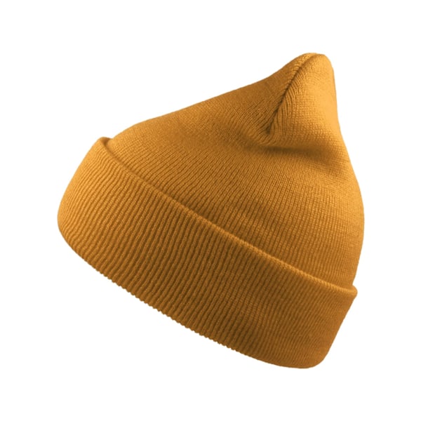 Atlantis Unisex Vuxen Wind Återvunnen Uppvikt Mössa One Size Avia Aviateur One Size