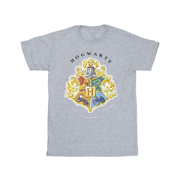 Harry Potter Boys Hogwarts School Emblem T-Shirt 9-11 år Spo Sports Grey 9-11 Years