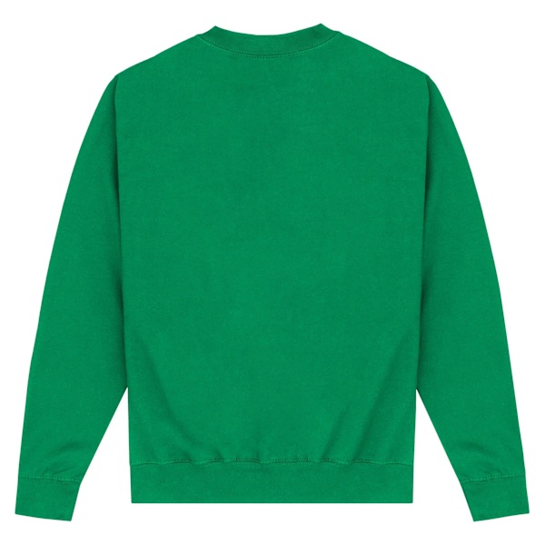 Friends Unisex Vuxen Kalkonhuvud Joey Sweatshirt XXL Grön Green XXL