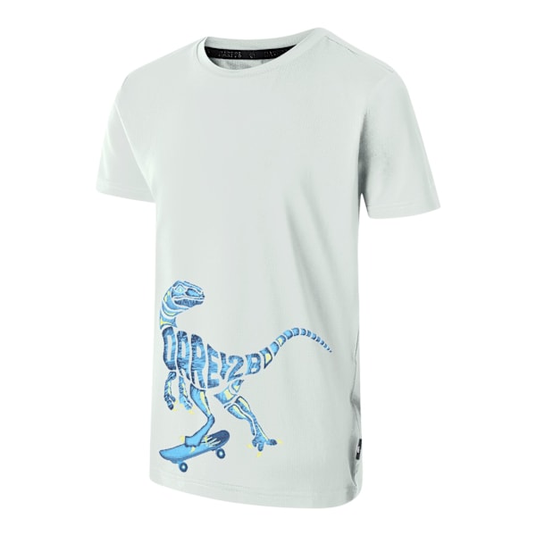 Dare 2B Pojkar Amuse II Velociraptor T-Shirt 14 År Aqua Grå Aqua Grey 14 Years