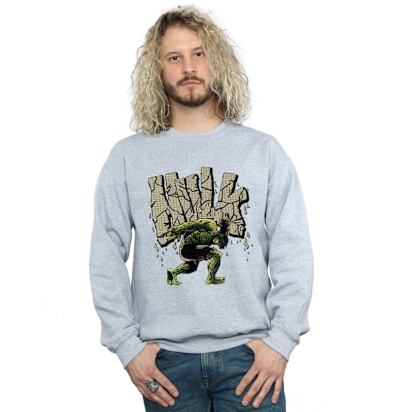 Hulk Mens Rock Sweatshirt 3XL Sports Grey Sports Grey 3XL