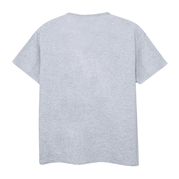 DC Comics Justice League Spray Logos T-shirt M Sports Grey Sports Grey M