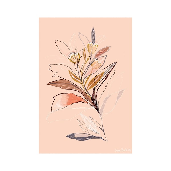 Hope Bainbridge Floral Sketch I Print 40cm x 30cm Peach/White Peach/White 40cm x 30cm
