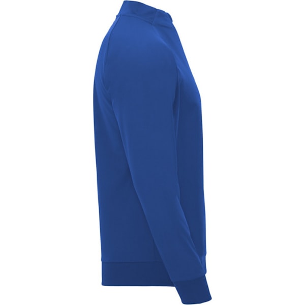 Roly Barn/Barn Epiro Kvarts Dragkedja Långärmad Sweatshirt 4 Royal Blue 4 Years