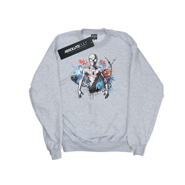 Marvel Girls Spider-Man Graffiti Pose Sweatshirt 12-13 år Sp Sports Grey 12-13 Years