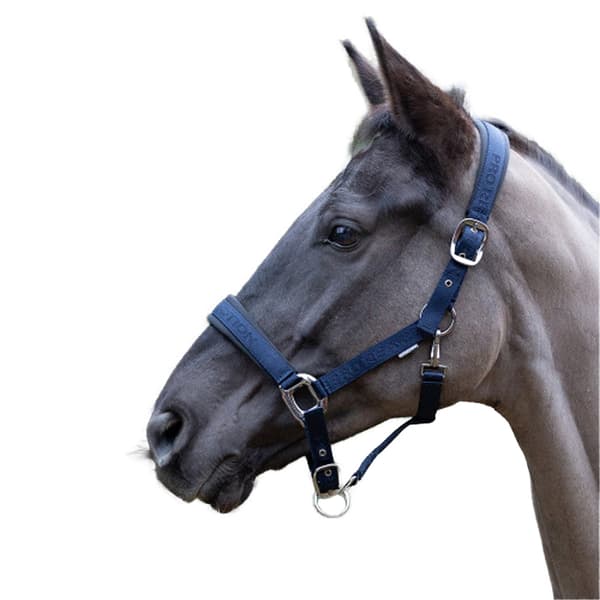 Hy ProReaction Transform Hästgrimma Ponny Marinblå Navy Pony