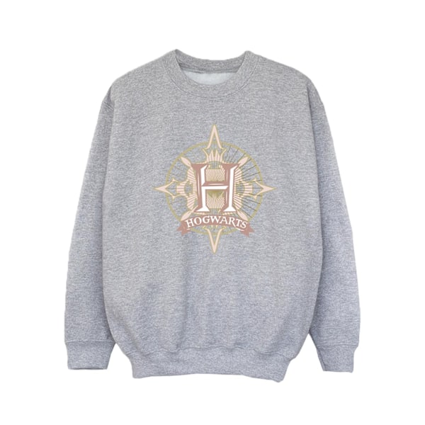 Harry Potter Tjejer Hogwarts Snöflinga Sweatshirt 12-13 År Sp Sports Grey 12-13 Years